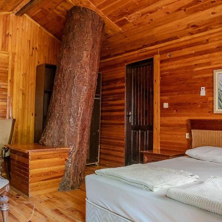 Kadir'S Top Tree Houses Όλυμπος Εξωτερικό φωτογραφία