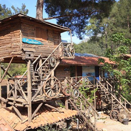Kadir'S Top Tree Houses Όλυμπος Εξωτερικό φωτογραφία