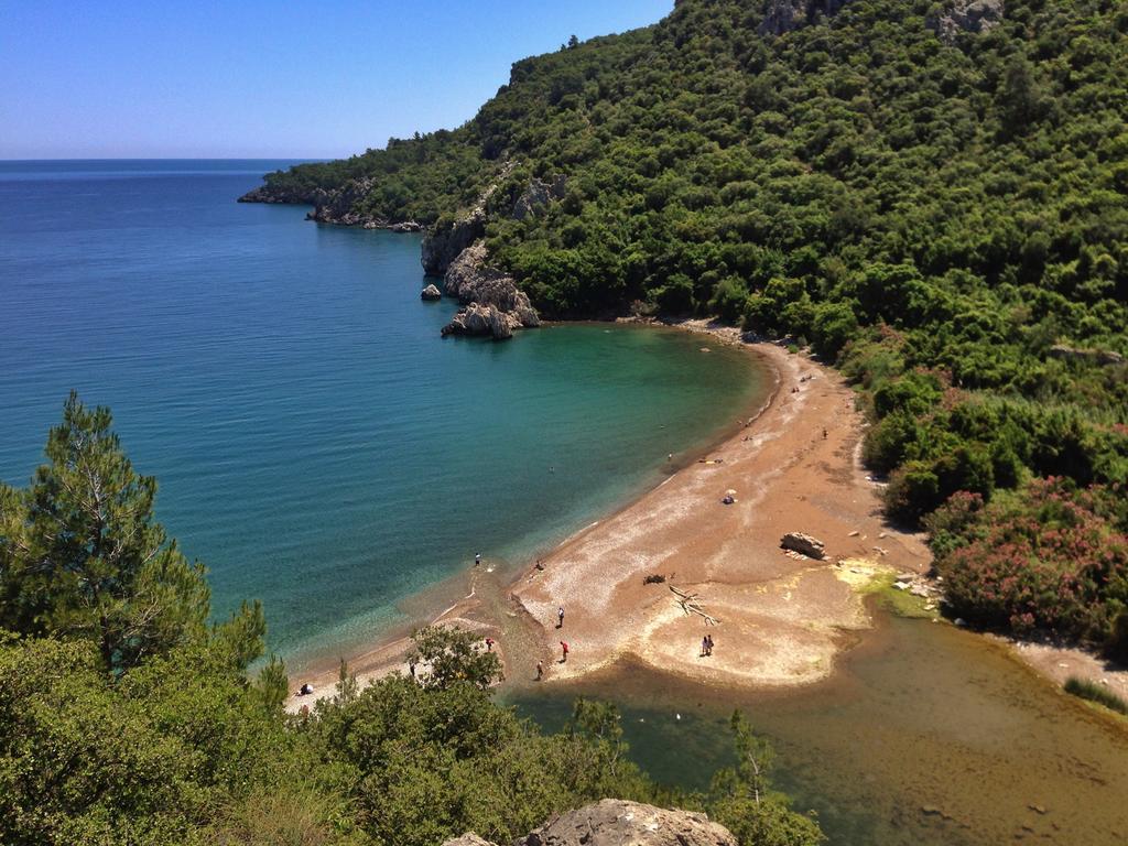 Kadir'S Top Tree Houses Όλυμπος Εξωτερικό φωτογραφία