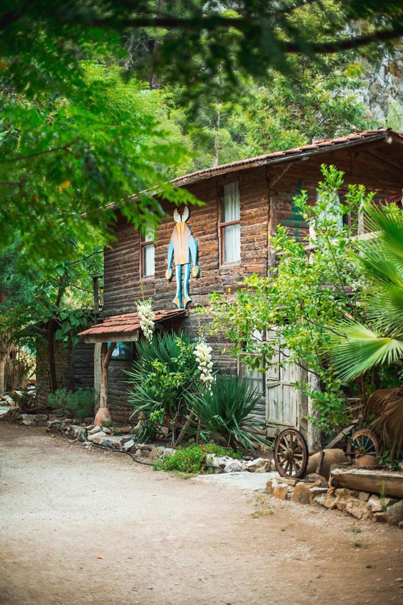 Kadir'S Top Tree Houses Όλυμπος Εξωτερικό φωτογραφία