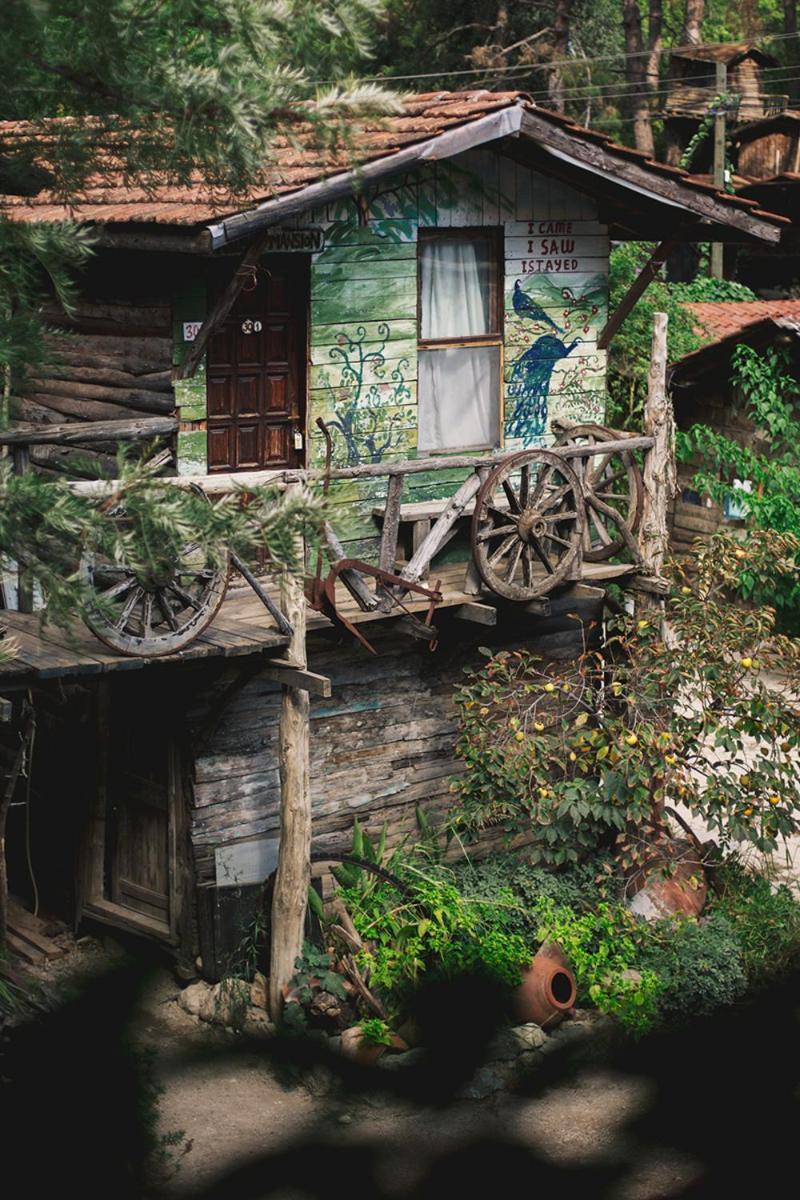 Kadir'S Top Tree Houses Όλυμπος Εξωτερικό φωτογραφία