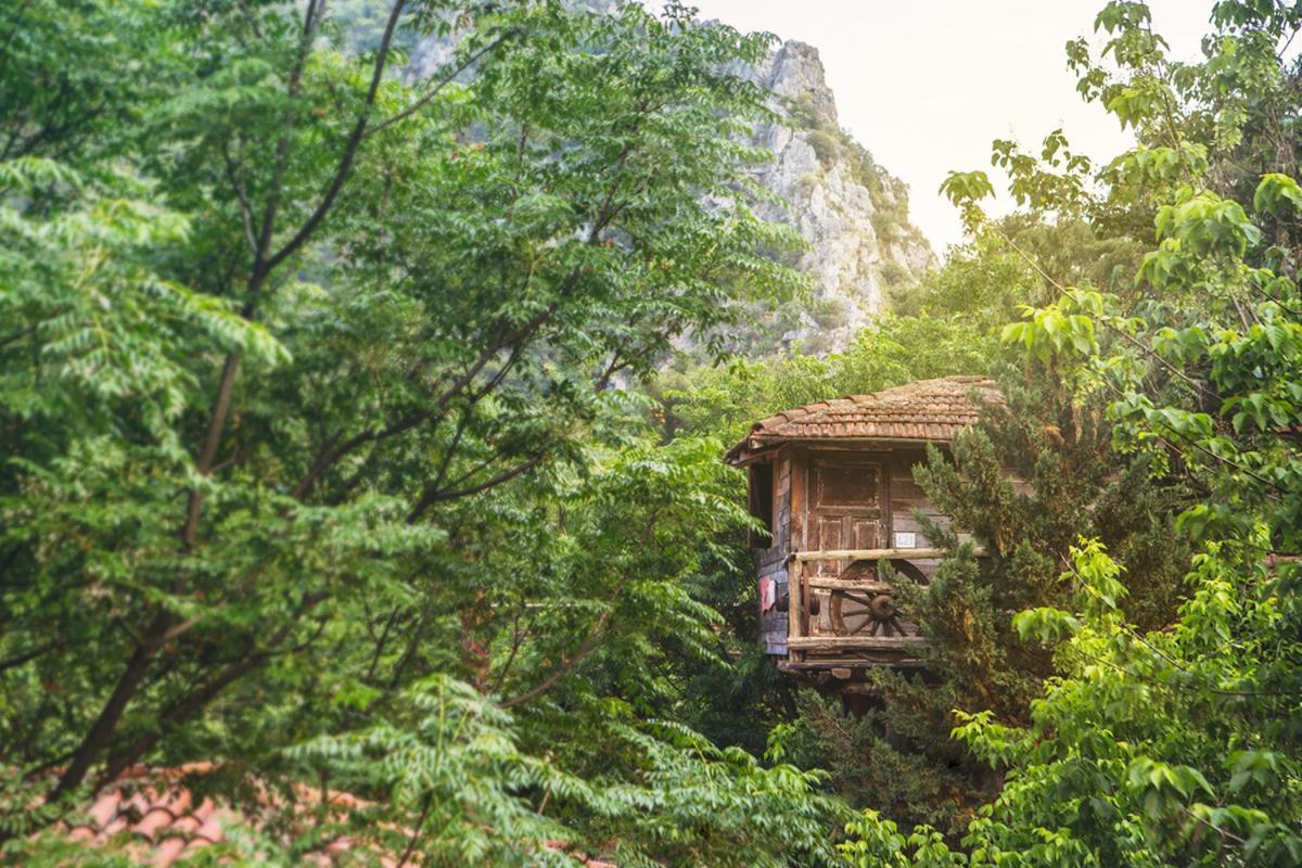 Kadir'S Top Tree Houses Όλυμπος Εξωτερικό φωτογραφία