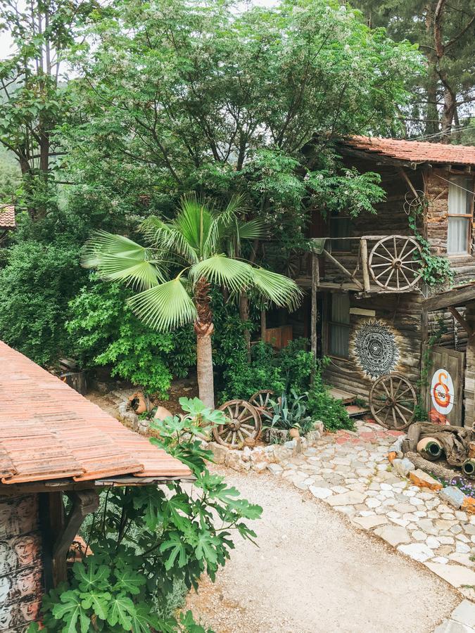 Kadir'S Top Tree Houses Όλυμπος Εξωτερικό φωτογραφία