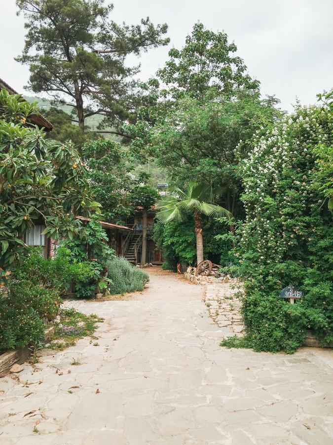 Kadir'S Top Tree Houses Όλυμπος Εξωτερικό φωτογραφία