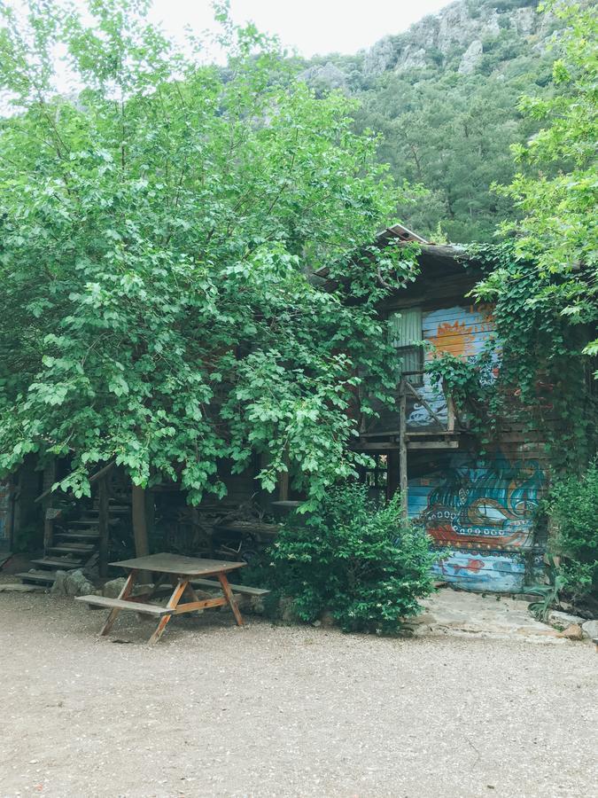 Kadir'S Top Tree Houses Όλυμπος Εξωτερικό φωτογραφία
