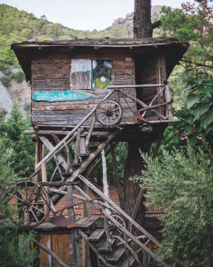 Kadir'S Top Tree Houses Όλυμπος Εξωτερικό φωτογραφία