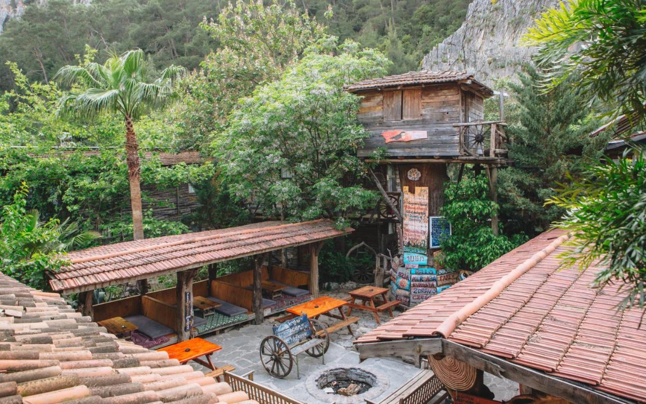 Kadir'S Top Tree Houses Όλυμπος Εξωτερικό φωτογραφία
