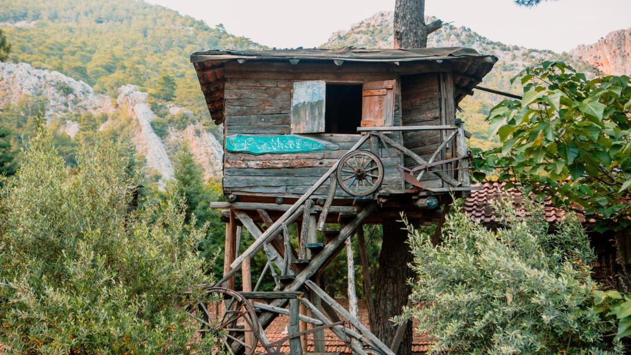 Kadir'S Top Tree Houses Όλυμπος Εξωτερικό φωτογραφία