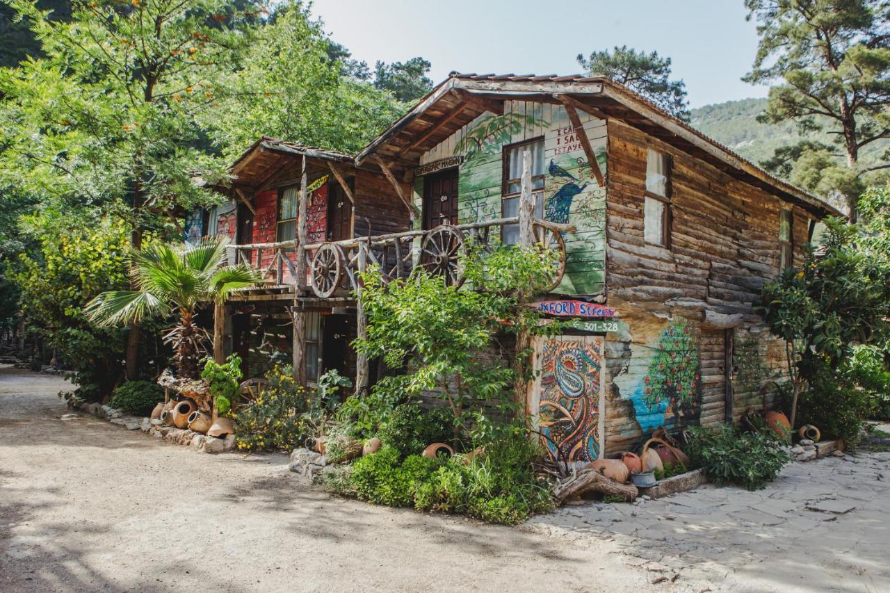 Kadir'S Top Tree Houses Όλυμπος Εξωτερικό φωτογραφία